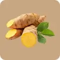 Akhroot